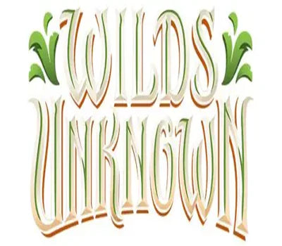 Disney Lorcana Set 12 Wilds Unknown Trading Cards