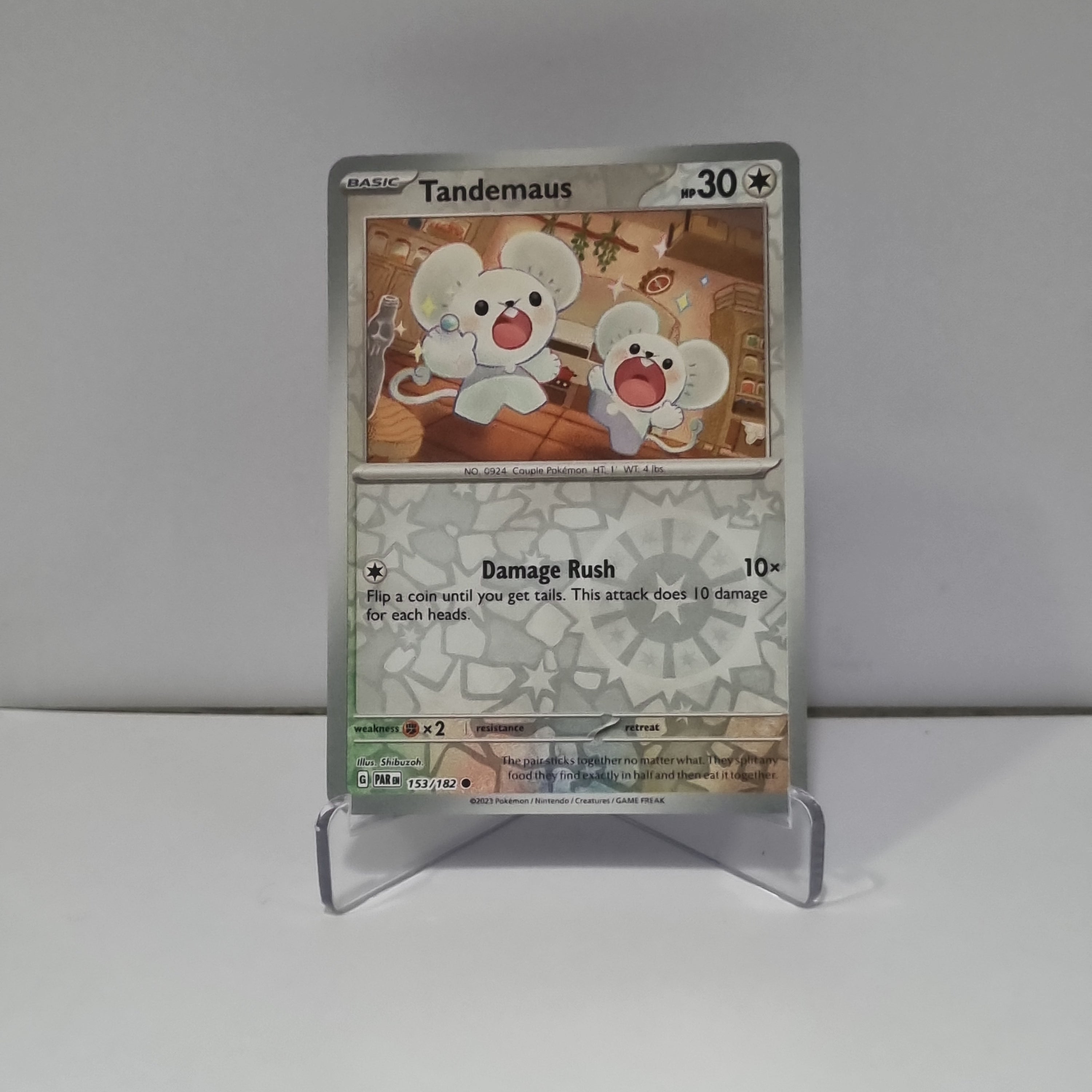Pokemon TCG: Paradox Rift Reverse Holo card - Tandemaus.