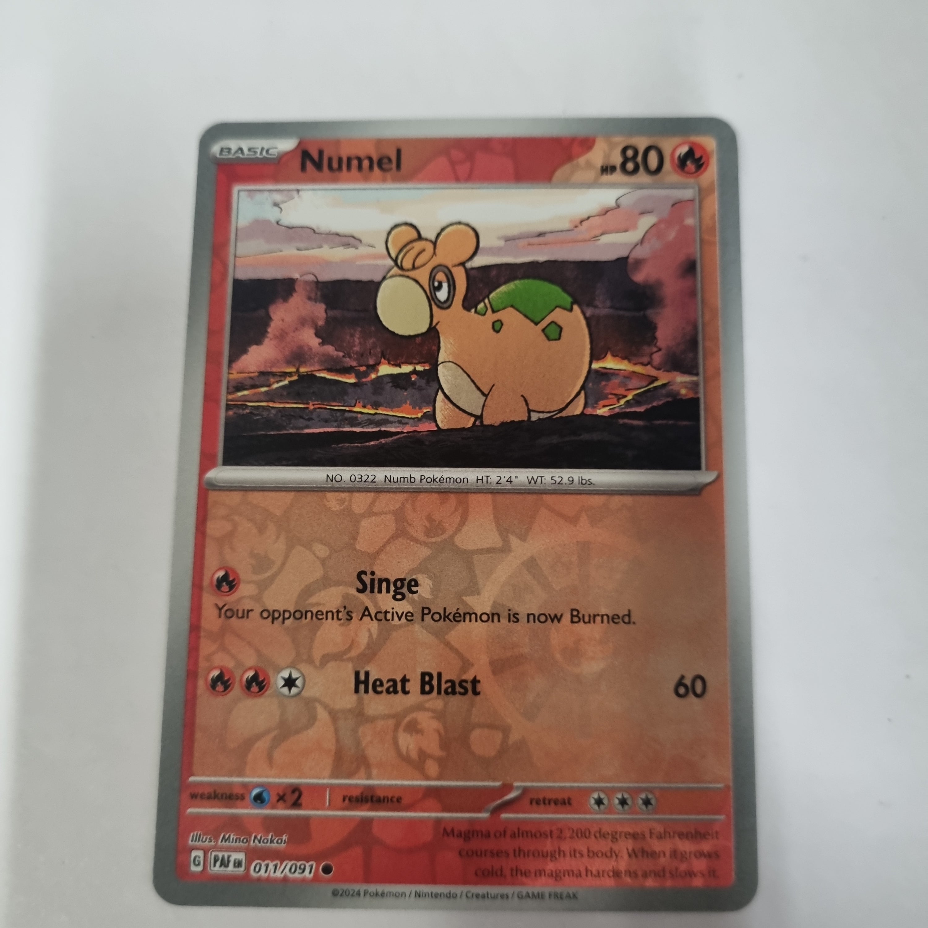 Pokemon TCG - Paldean Fates - #11 - Numel - common - Reverse Holo