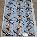 NRL 2024 Traders - Base Team Set 9 Cards - Cronulla Sharks
