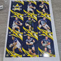 NRL 2024 Traders - Base Team Set 9 Cards - North Queensland Cowboys
