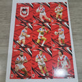 NRL 2024 Traders - Base Team Set 9 Cards - St George Dragons