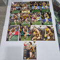 2024 Select Footy Stars - Base Team Set (13 Cards) - Hawthorn