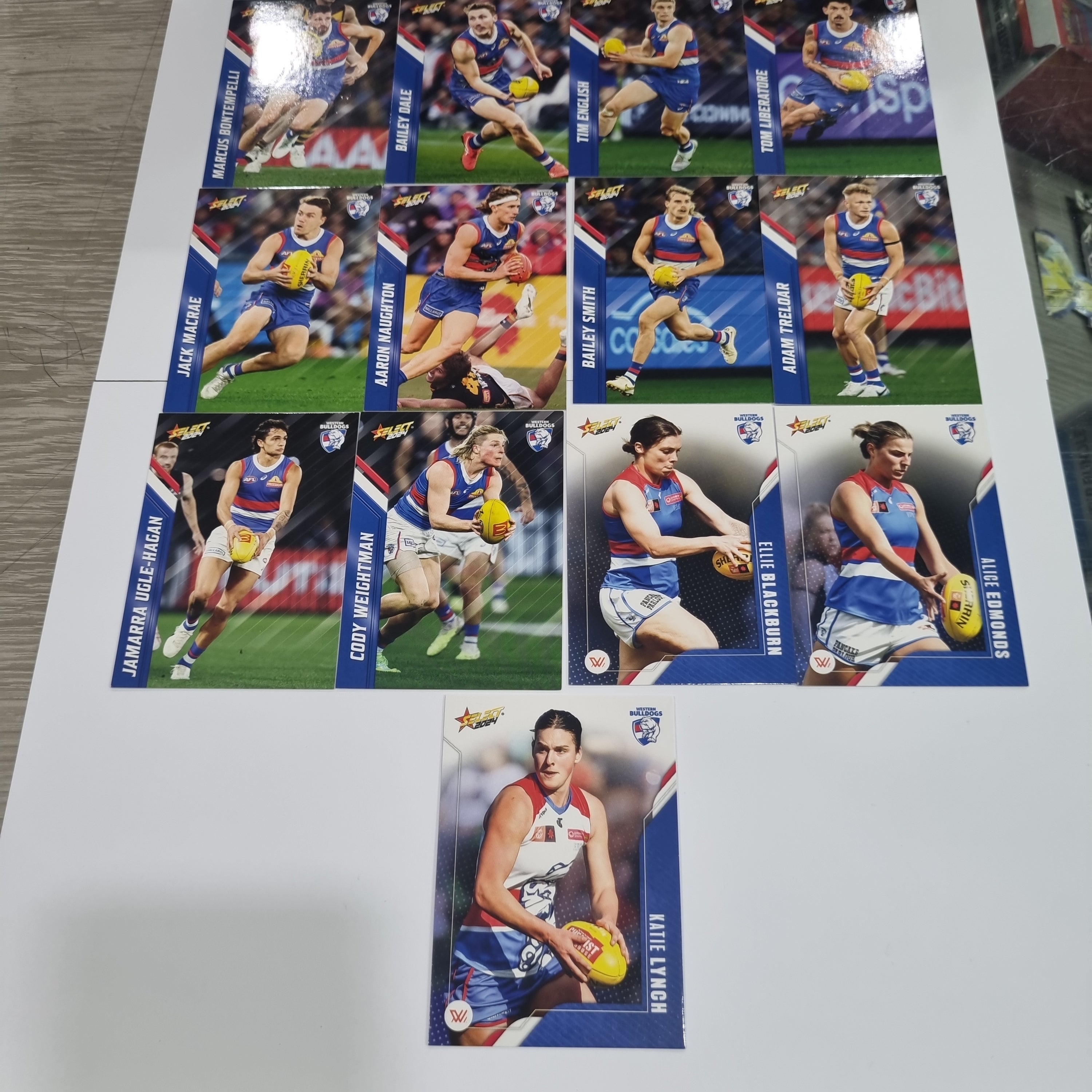 2024 Select Footy Stars - Base Team Set (13 Cards) - Bulldogs