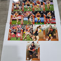 2024 Select Footy Stars - Base Team Set (13 Cards) - GWS Giants