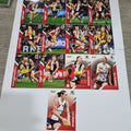 2024 Select Footy Stars - Base Team Set (13 Cards) - St Kilda