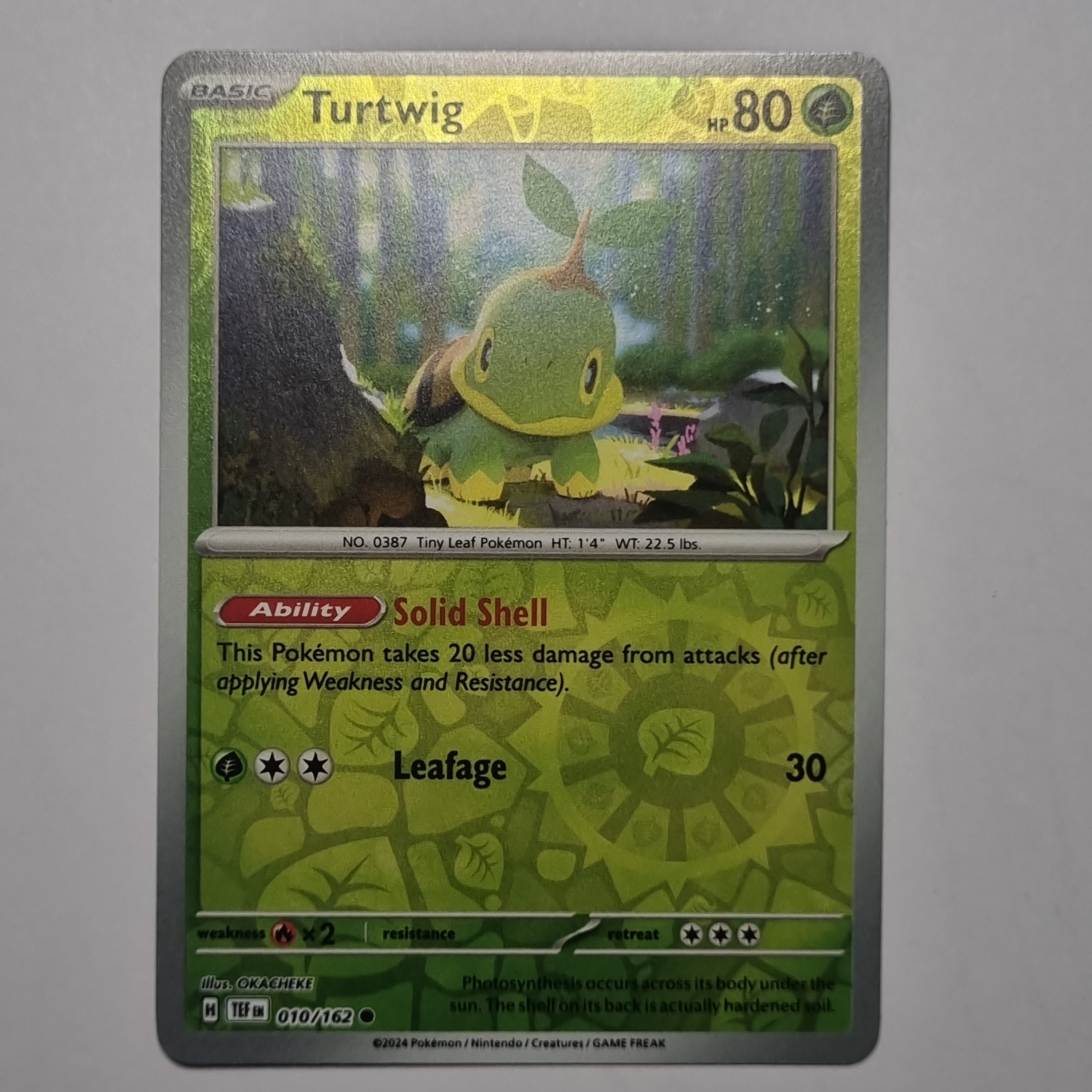 Pokemon TCG - Temporal Forces - #010 - Turtwig - Reverse Holo - Common