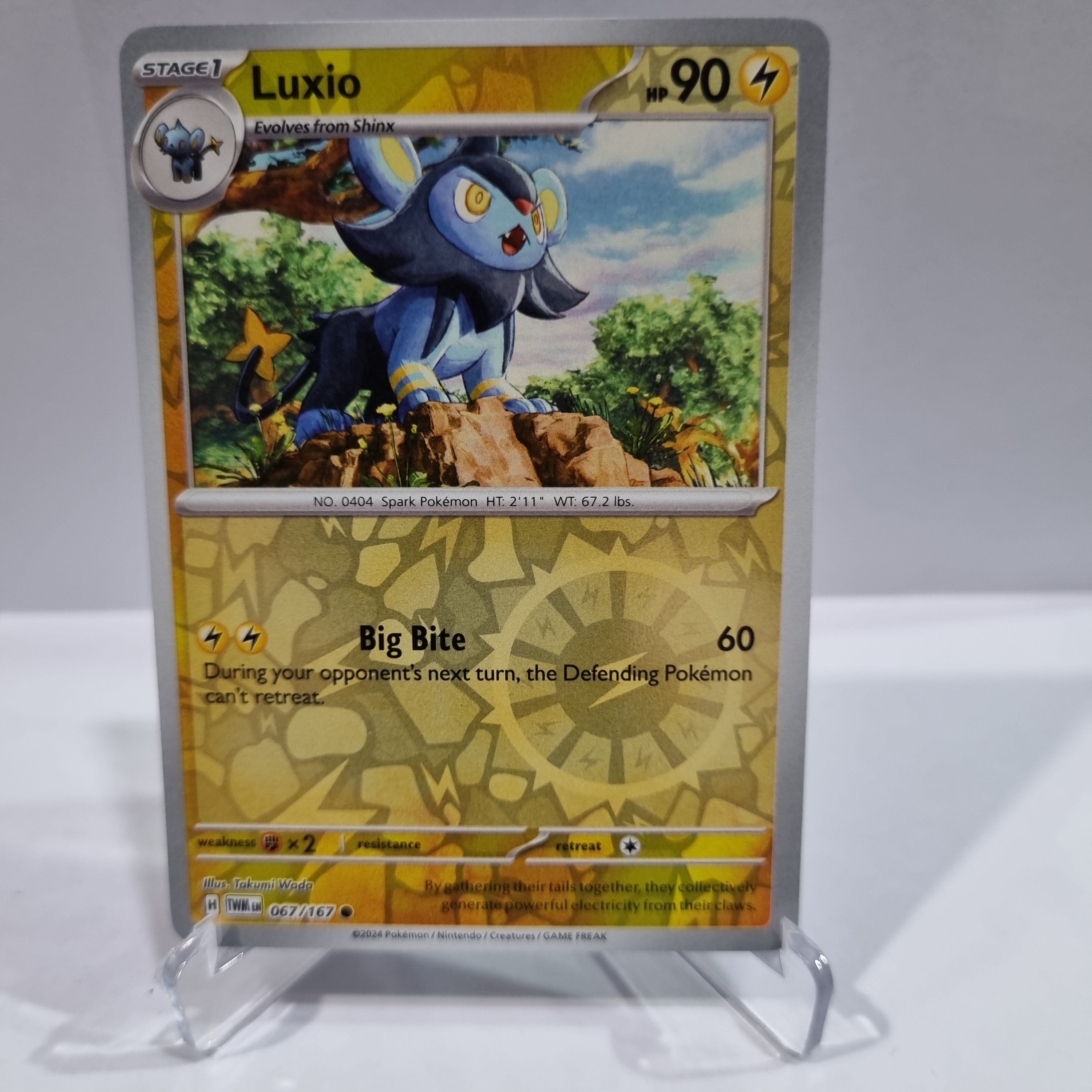 Pokemon TCG Scarlet & Violet expansion Twilight Masquerades. Luxio Reverse Holo card.