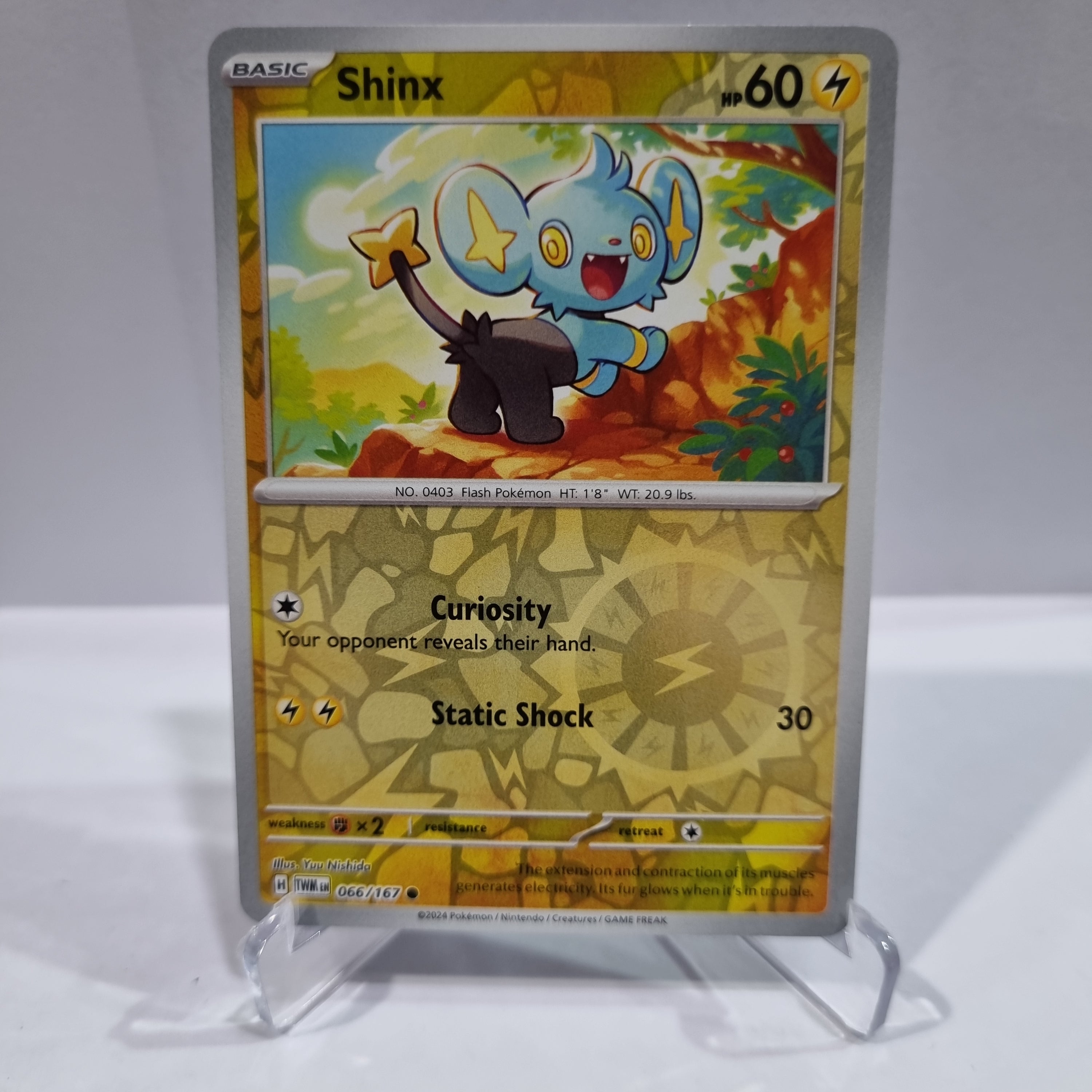 Pokemon TCG Scarlet & Violet expansion Twilight Masquerades. Shinx Reverse Holo card.