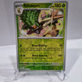Pokemon TCG Scarlet & Violet expansion Twilight Masquerades. Rillaboom Reverse Holo card.