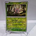 Pokemon TCG Scarlet & Violet expansion Twilight Masquerades. Pinsir Reverse Holo card.