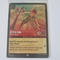 Lorcana - First Chapter - Coldfoil - Peter Pan - Fearless Fighter - 119/204 - Common
