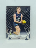 2024 Footy Stars - Luminous Base - L29 - S. Walsh