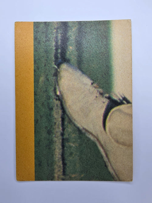Scanlens 1986 cricket trading card from the Clashes for the Ashes featuring Roger Harper bowling for the West Indies.