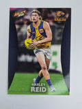 AFL 2025 Footy Stars Base Card #183 Harley Reid West Coast Eagles