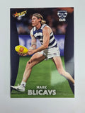 AFL 2025 Footy Stars Base Card #067 Mark Blicavs Geelong Cats