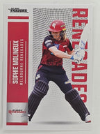 2024–25 Cricket Traders Base Card #100 Sophie Molineux Melbourne Renegades WBBL