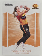 2023/24 Cricket Traders Base Card #126 Taneale Peschel Perth Scorchers WBBL