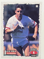 NRL 1995 Dynamic Series 1 Base Card #069 David Riolo Illawarra Steelers