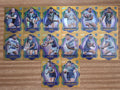 NRL 2026 League Heroes | Luminous Team Set (14 Cards)| New Zealand Warriors