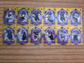 NRL 2026 League Heroes | Luminous Team Set (12 Cards)| Melbourne Storm