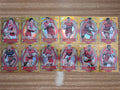 NRL 2026 League Heroes | Luminous Team Set (12 Cards)| Redcliffe Dolphins
