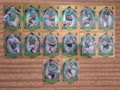 NRL 2026 League Heroes | Luminous Team Set (14 Cards)| Canberra Raiders