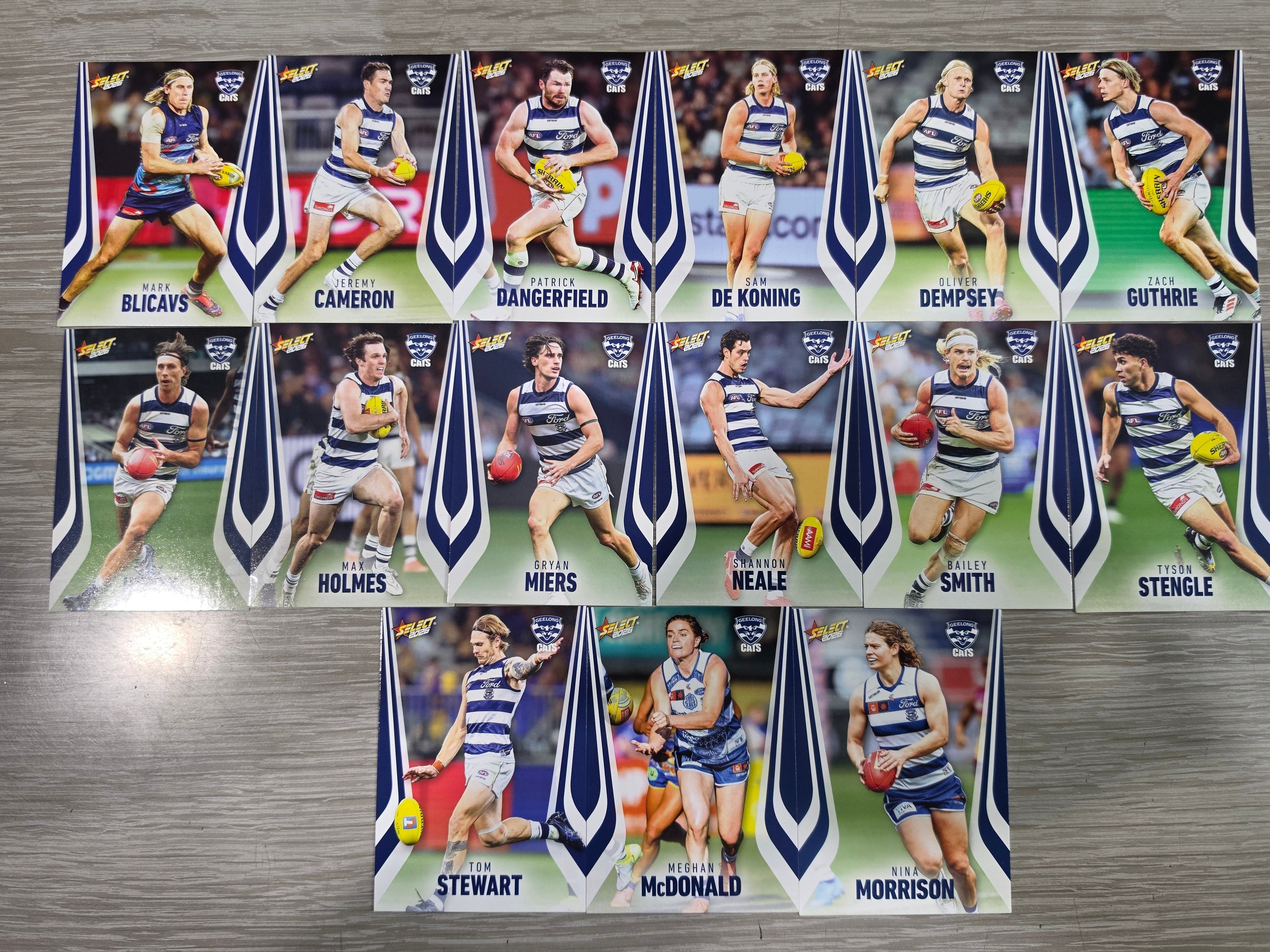 2026 AFL Footy Stars Base Team Set - Geelong Cats