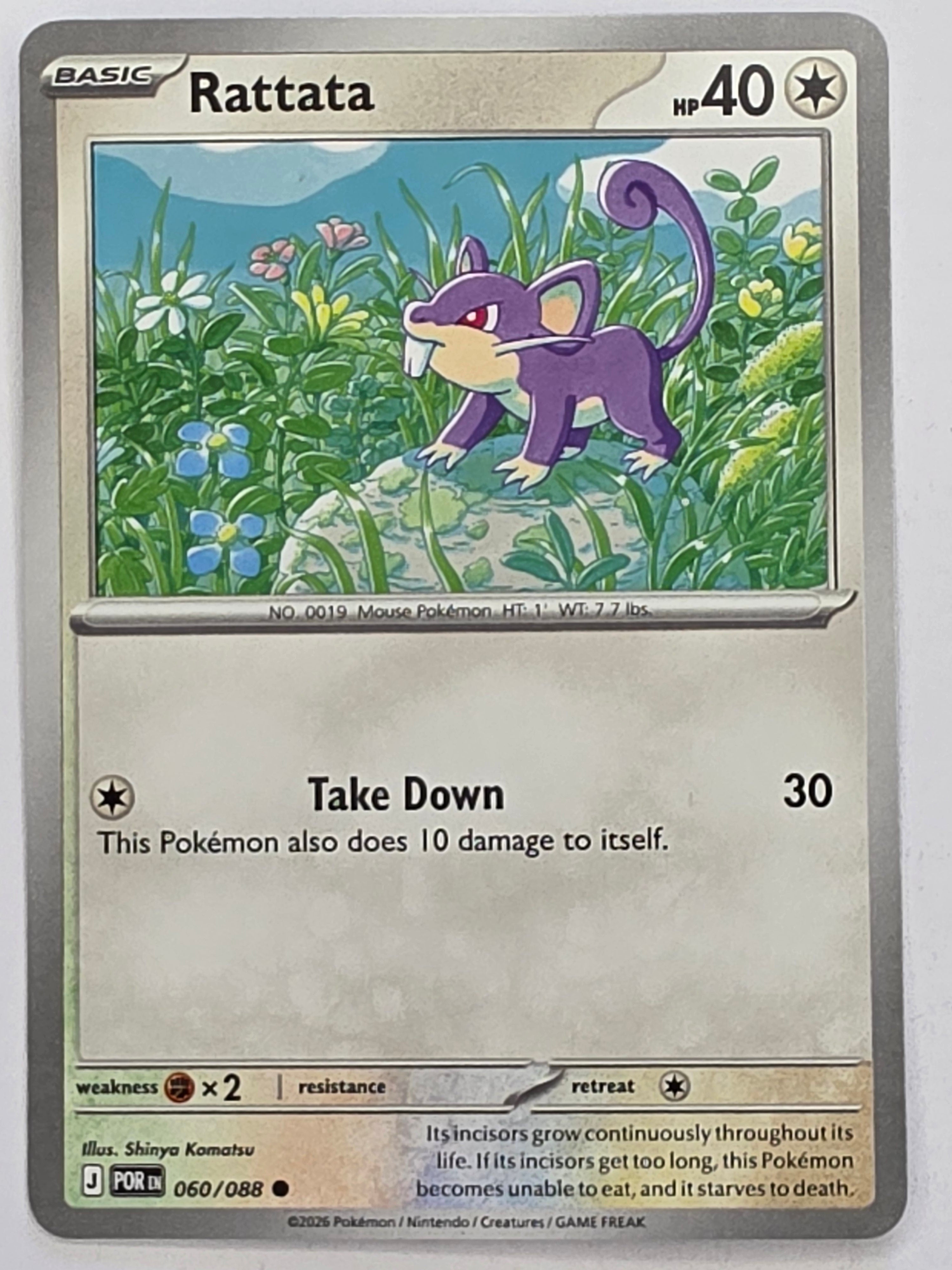 Pokemon TCG Perfect Order | Rattata | #060/088 | Common