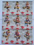 NRL 2013 Elite | St George Illawarra Dragons Base Team Set