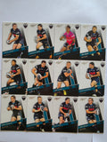 NRL 2012 Dynasty | Penrith Panthers Base Team Set