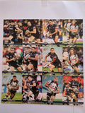NRL 2009 Champions | Penrith Panthers Base Team Set