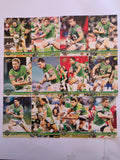 NRL 2009 Champions | Canberra Raiders Base Team Set