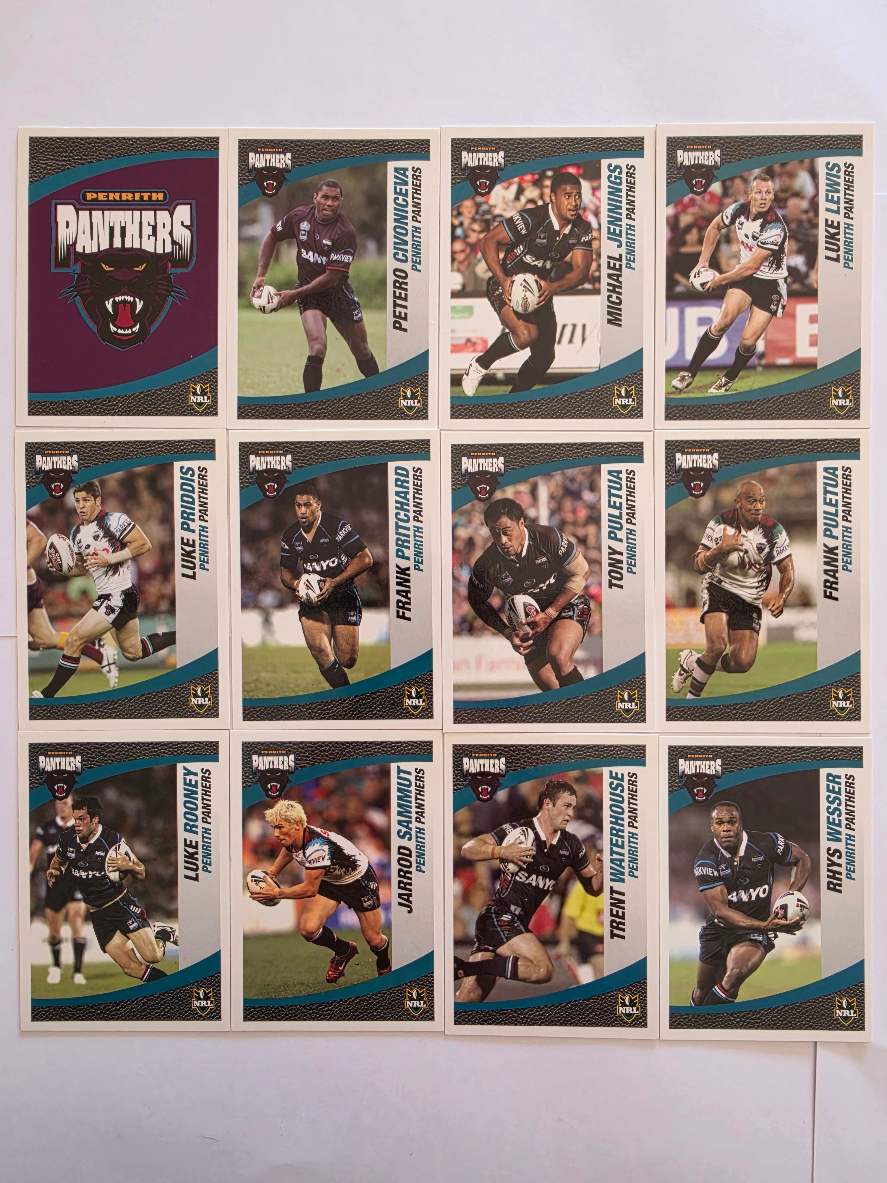 NRL 2008 Daily Telegraph | Penrith Panthers Base Team Set