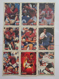 1995 Dynamic NRL Series 1 | Illawarra Steelers Base Team Set