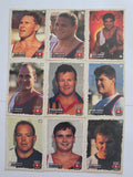 1995 Dynamic NRL Series 1 | South Queensland Crushers Base Team Set