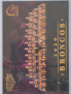 NRL 2020 Elite | Team Photo Brisbane Broncos #CL01