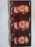 NRL 2015 Traders | Faces of the Game 3 Card Set Manly Warringah Sea Eagles
