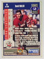 NRL 1995 Dynamic Series 2 | Base Card #052 | David Walsh | Illawarra Steelers