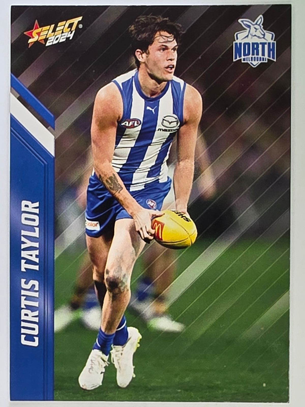 AFL 2024 Footy Stars | Base Card #119 | C. TAYLOR | North Melbourne
