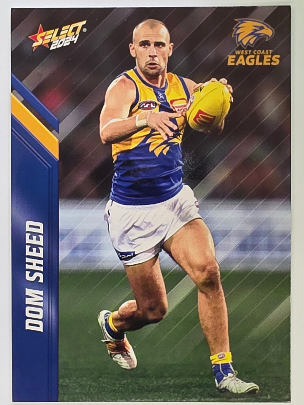 AFL 2024 Footy Stars | Base Card #169 | D. SHEED | West Coast Eagles