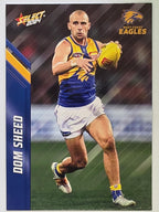 AFL 2024 Footy Stars | Base Card #169 | D. SHEED | West Coast Eagles