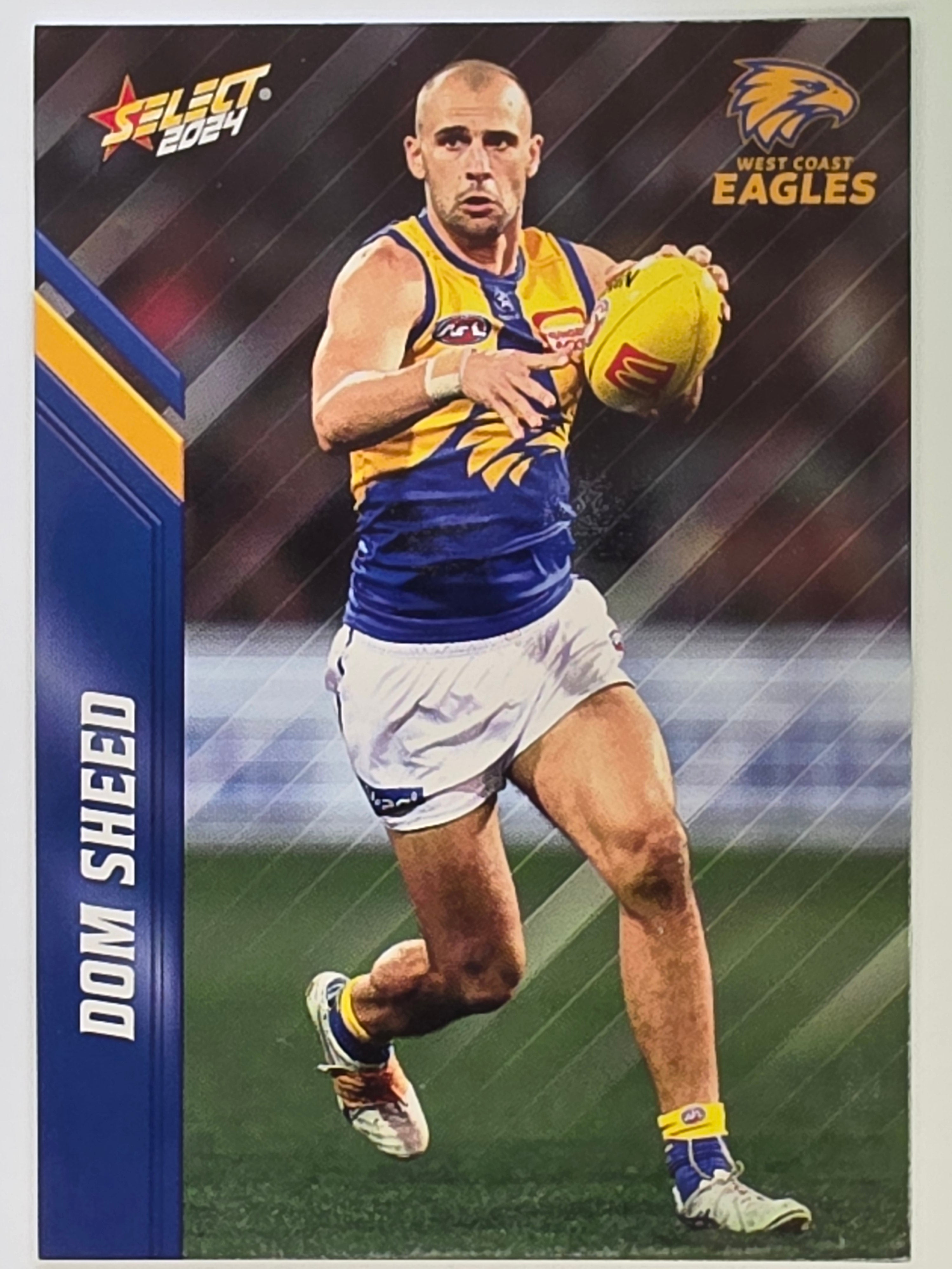 AFL 2024 Footy Stars | Base Card #169 | D. SHEED | West Coast Eagles