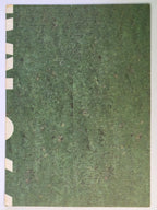 NRL 1991 Stimorol | Base Card #183 | Tour Action Kangaroo vs Lions