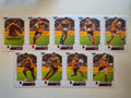 NRL 2020 Elite | Brisbane Broncos Base Team Set