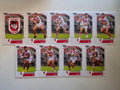 NRL 2020 Elite | St George Illawarra Dragons Base Team Set