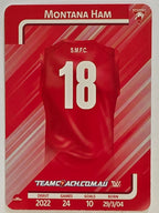 2025 AFLW TeamCoach | #077 Montana Ham | Sydney Swans