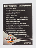 NRL 2009 Daily Telegraph | #227 | Team Mascot | Wests Tigers