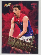AFL 2019 Footy Stars | Instant Impact | #II63 | Jake Lever | Melbourne