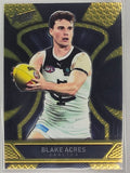 AFL Footy Stars 2025 Luminous Dragon Scales #LD25 B. Acres Carlton #380/799